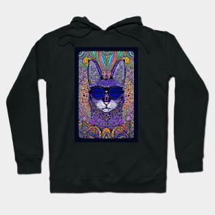 Cosmos Cat Wearing Sunglasses- Kinetic! Hoodie